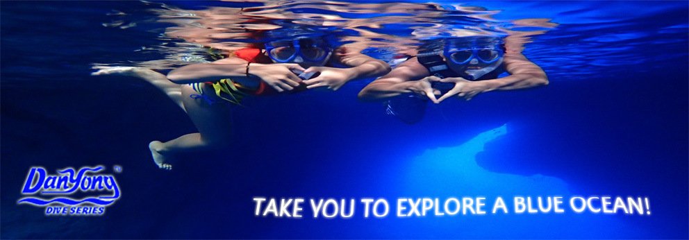 3332186985_579639401