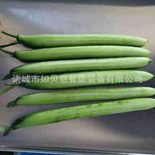 �F؛ľ����Ƥ�C �����B�mʽȥƤ�C ȫ�Ԅ��S��ȥƤ�C