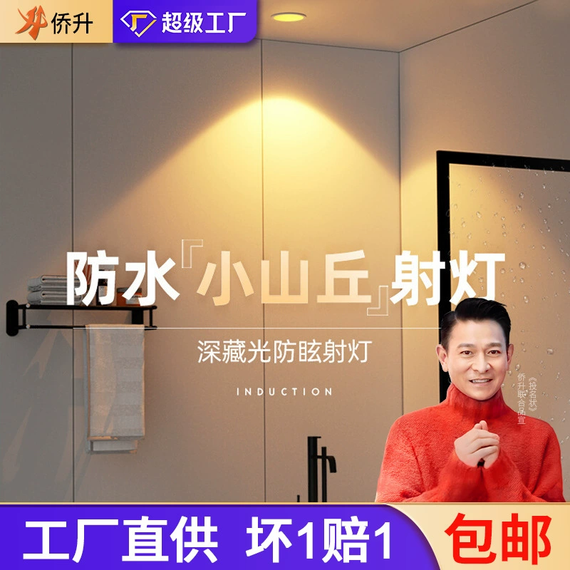 Built-in waterproof lights for bathroom, LED ceiling light for hotel