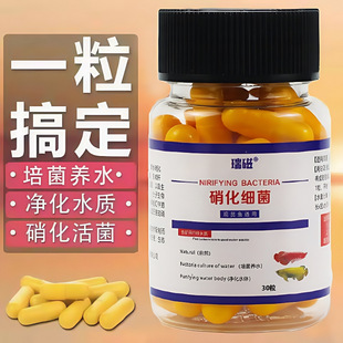 Nitrifying Bacteria Solution for Fish Tank Water Purification, Air Tank Live Bacteria for Water Cultivation, Ecological Fish Farming to Remove Fishy Odor and Decompose Fish Waste