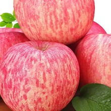 ���ڟ�̨��ϼ�t��ʿ���r�����O��ˮ��ɽ�|�خa��ʿ�O��������]