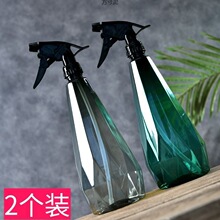 园艺气压式喷壶消毒专用浇花家用高压小喷水喷雾器浇水压力洒水壶