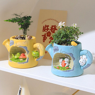 Creative Succulent Flowerpot Micro-Landscape Bunny Frog Animal Shape Cute Features Exquisite High-Value Potted Plant Gift