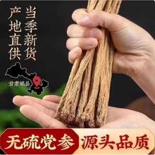 ���CҰ�h���l����ếh���h���l�o����S���Ҝ�Ұ�����h����؛