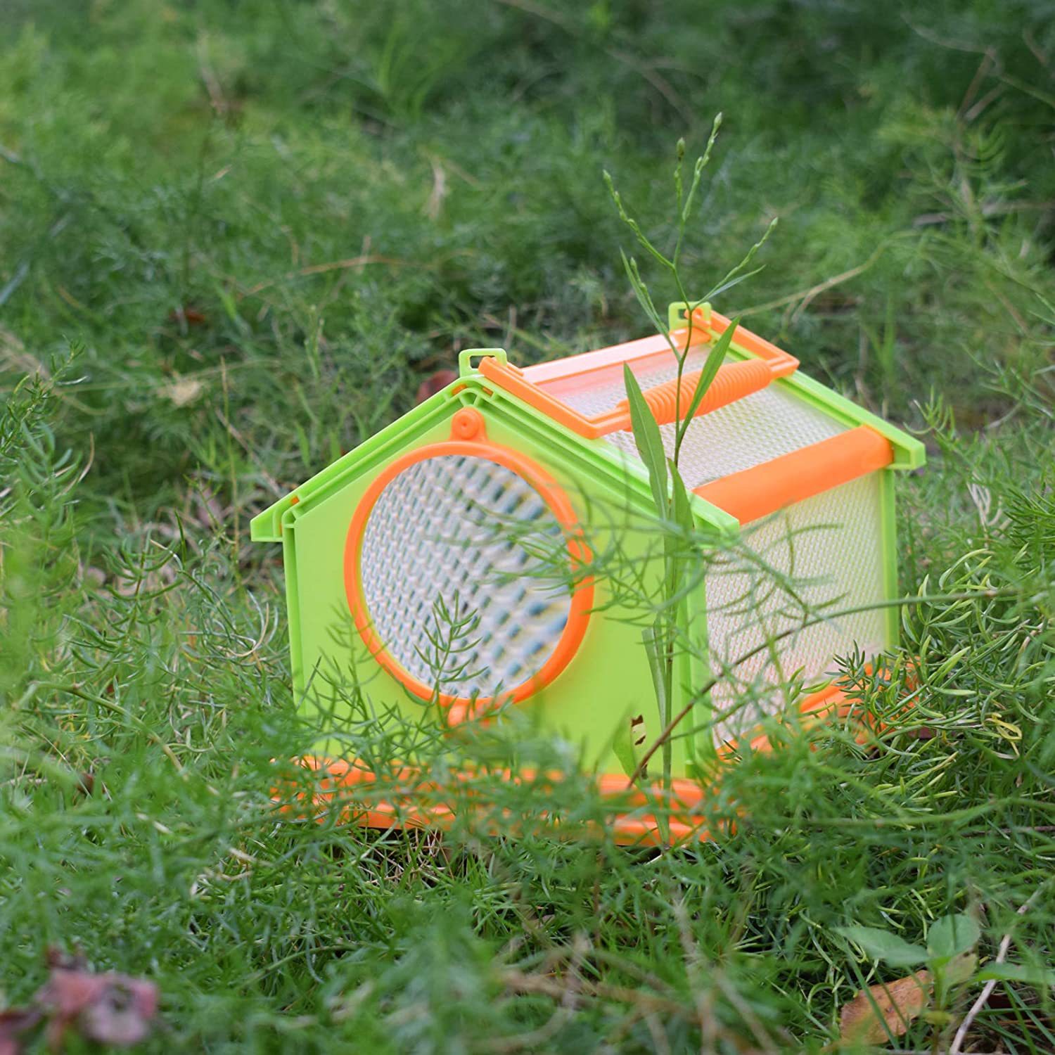 Children's hand -lifted butterfly cage folding insect observation…