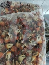 з_з܊з ؛ӹˇƷǌ÷r