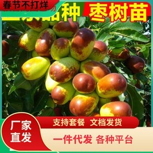 һlش󶬗޽ش󱱷ϷNֲͥԺJ