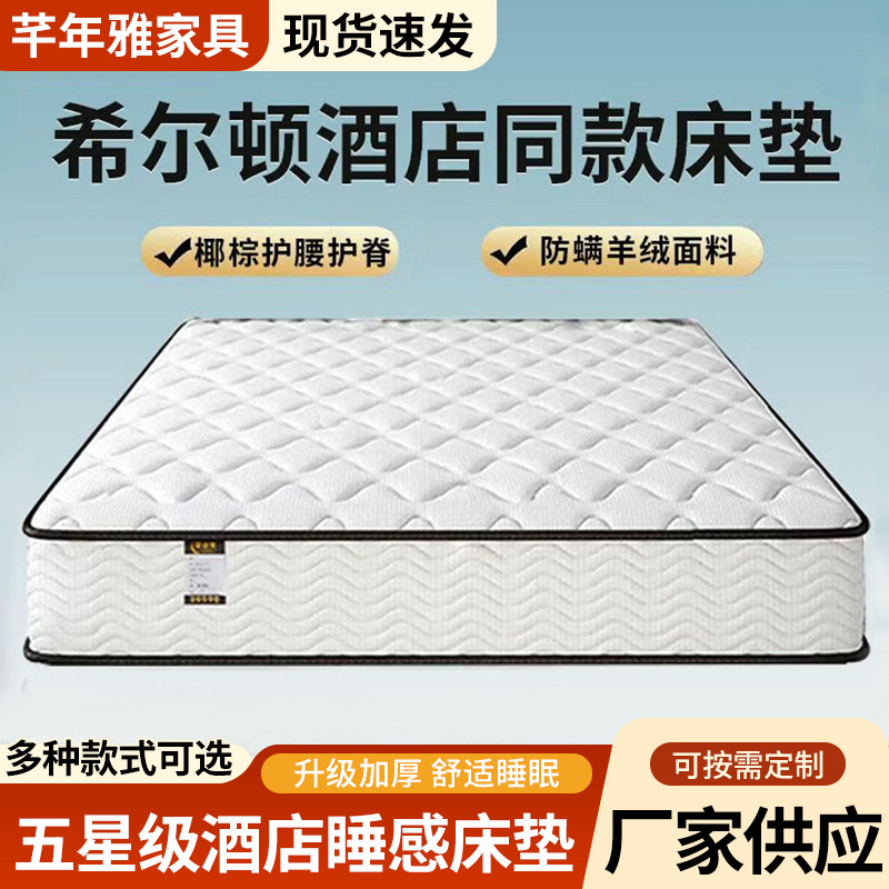 Hilton Five-Star Hotel Cashmere Latex Coconut Palm Silent Thickeneded Independent Spring 20cm Simmons Spring Mattress