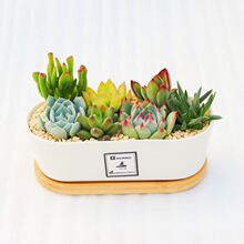 ����M�����ԿɐۼҾ��k����������Xǰ����Gֲ��ݗ���մ���Y��