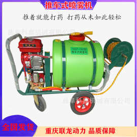 大棚果园灭虫喷雾器 农用手推式汽油打药机 园林环卫道路清洗车