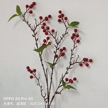 ���^����t��������{��ϵ���������Ҿӿ͏d�[���ٻ���Ͱ����Ͱ��