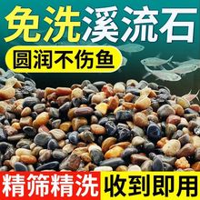原生溪流石溪流沙天然河沙鹅卵石水族鱼缸造景多肉铺面小石子过滤