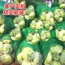 绿色蔬菜网袋批发装豆角的纱网袋装玉米编织袋甘蓝辣椒运输塑