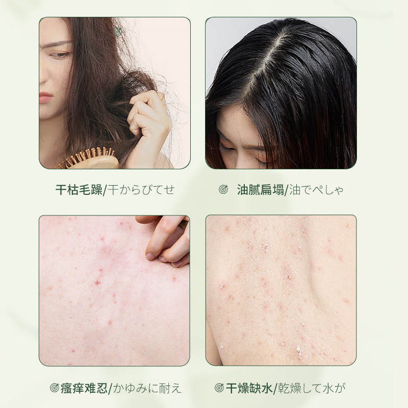 PFPX クロベの葉 パンテノール アロエベラ ビューティー シャワージェル シャンプー ふわふわシャンプー ケアセット|undefined