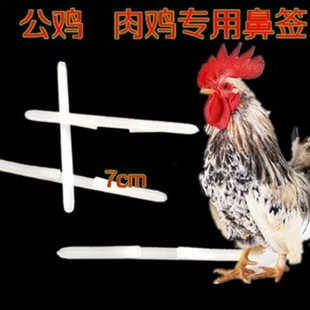 ���u�Ǻ��u�ǹ��u������ֹ�u��ʳ����ʳ���u�u�ñǺ�1000�����]