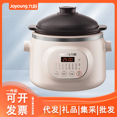 九陽電気煮込み鍋電気煮込み鍋煮込み鍋煮粥鍋紫砂内胆DG30Z-GD517