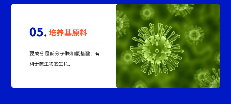 蛋白胨_09