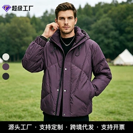 男式羽绒服;男式棉服;男式T恤