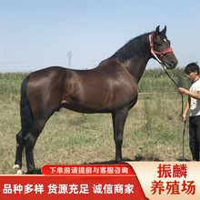 ���U�T���R ���R�����X �������R��Ѫ�R�����Xһƥ �O���m���R