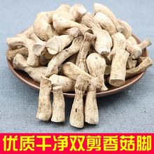 双剪大香菇脚干香菇丝 商用香菇腿干货冬菇柄花菇脚小香菇脚抛光