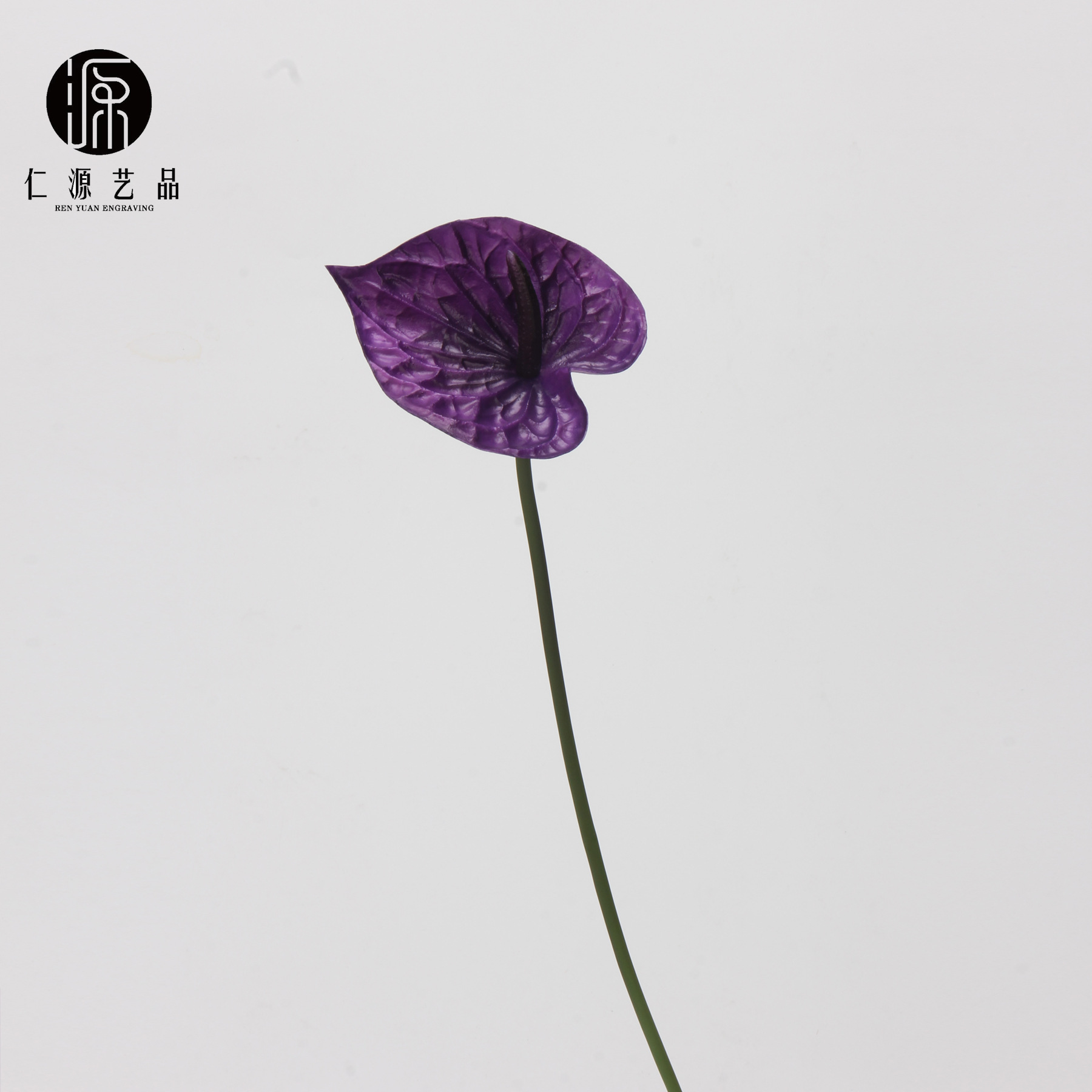 보라색(클래식 컬러)