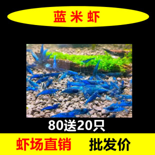 �{��ʯ�^�p�r��ˮ���r�����r�{�z�q���r��ˮ�匙���r�坍����С�r