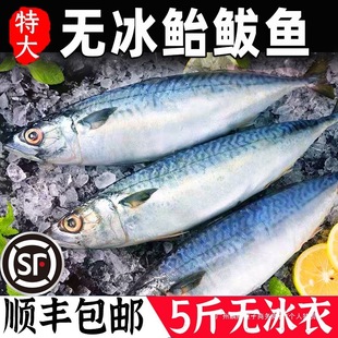 �T�E�~��ռ�~���~���r����E�~�໨�~�R�o�~���~С�E�~�����~�T�~