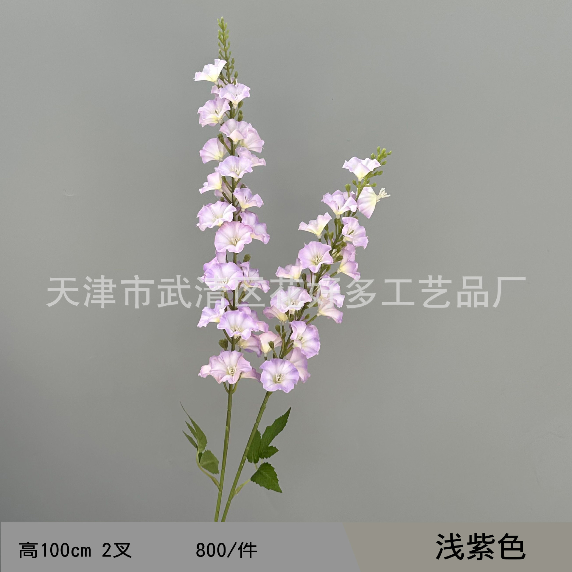 연한 보라색