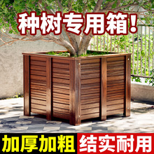 ����ľ����Nֲ�����ͥԺ�N�䌣������跽�������ش�̖ľ����