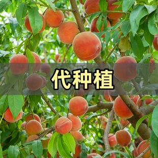 ˮ���Ҙ�������ˮ������S�ҷNֲ���ء����Nֲ���Ɍ��ؿ���
