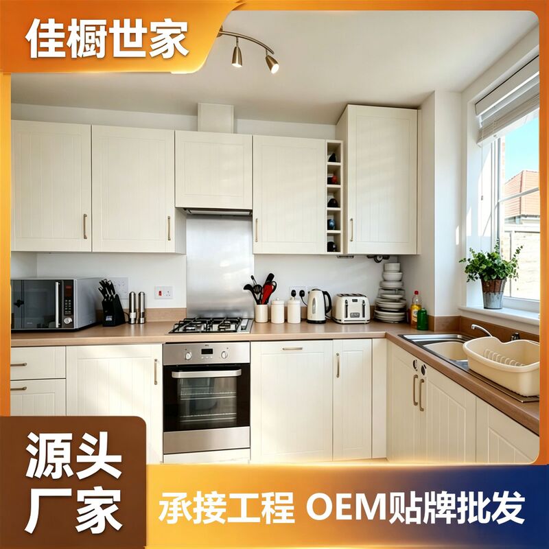 Foshan Shunde Foreign Trade Australian Cabinet Factory Paint-Coated Integrated Cabinets Modern Minimalist Cabinet Project Wholesale Export Foshan Shunde Foreign Trade Australian Cabinet Factory Paint-Coated Integrated Cabinets Modern Minimalist Cabinet Project Wholesale Export