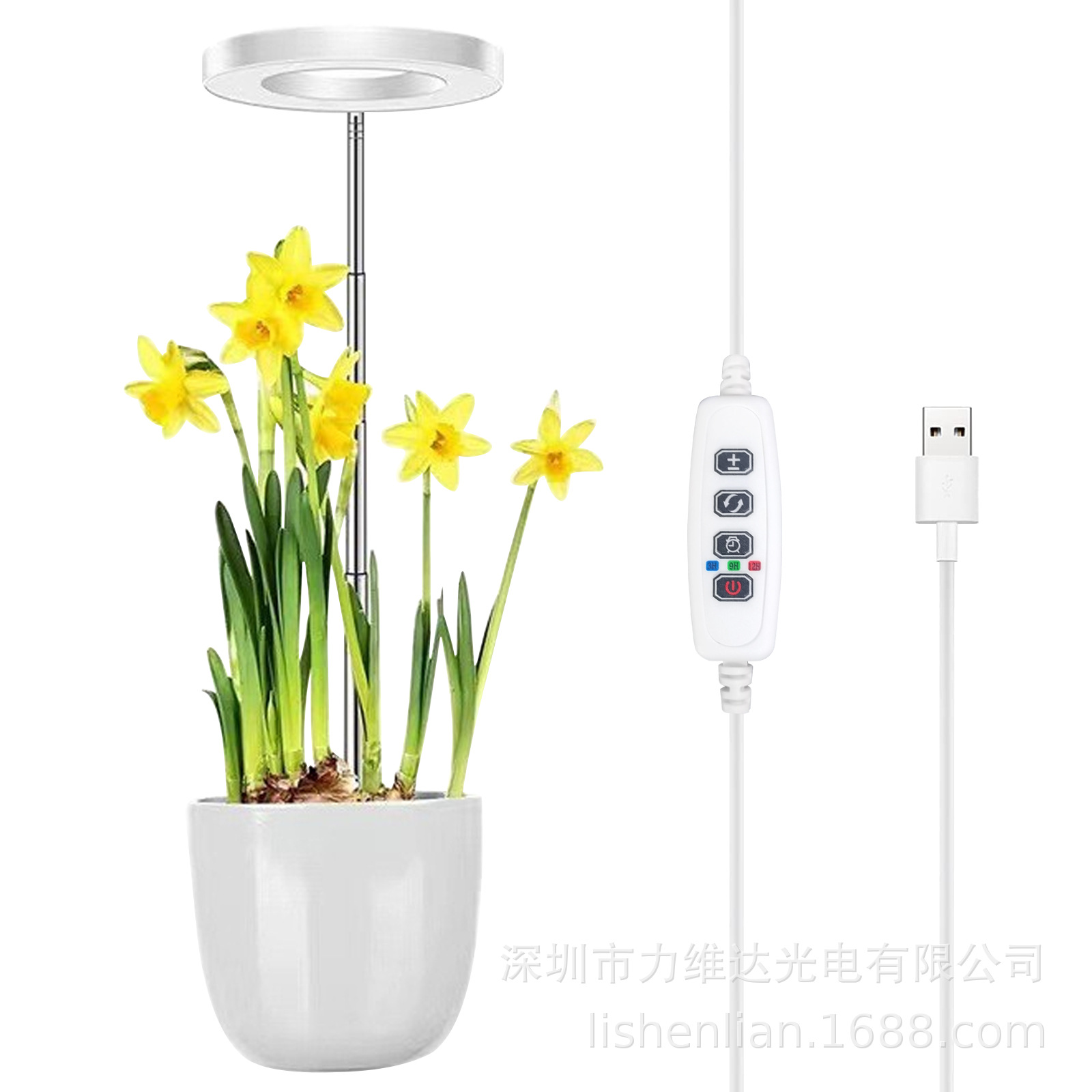 羳ֱʱл3000K6000KԲֲڲ