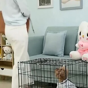 ���\������ȮС��Ȯ���C����һ�w�Ӻ��F�W����\��ռ�ط��҃ȼ���