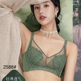 安QE2588#尾货兔耳朵内衣薄BC杯聚拢集中无钢圈文胸批发 商