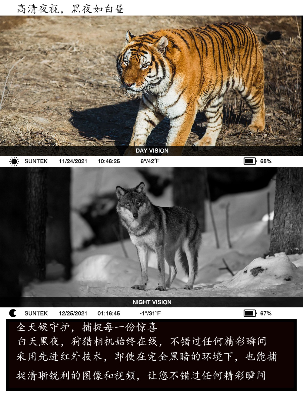 尾巴1