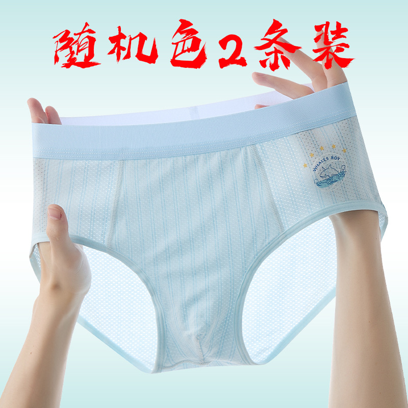 메달 오브 아너 혼합 삼각형 임의 색상(2팩)