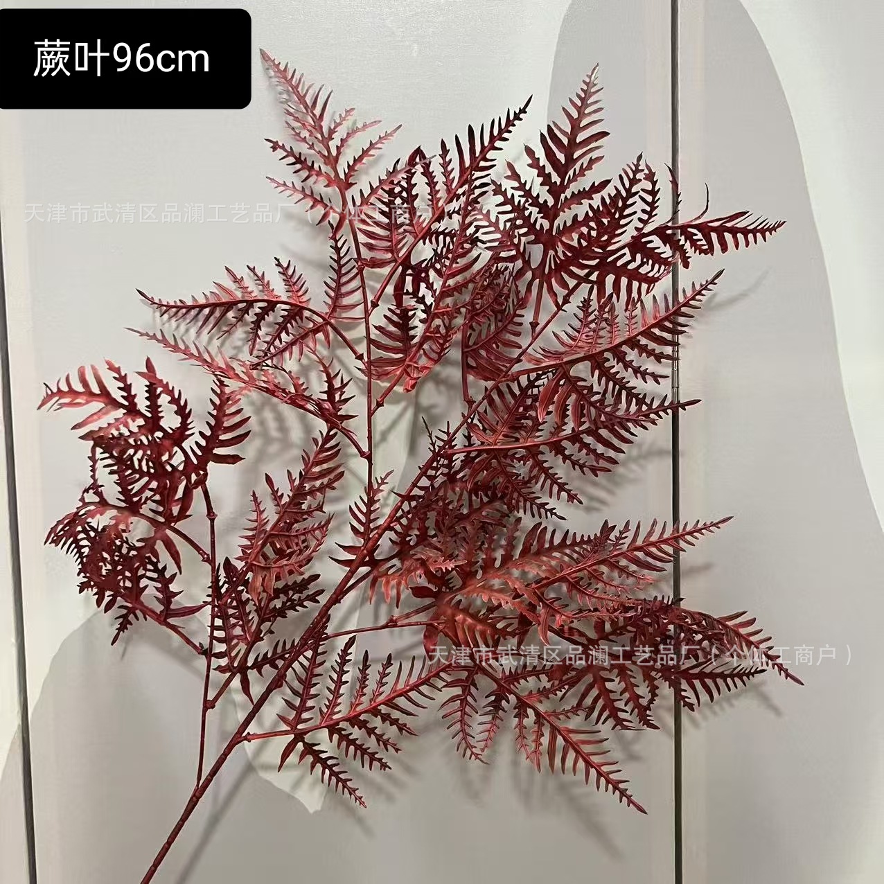 고사리 잎