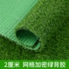 2 cm grid encrypted spring grass