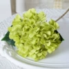 Tender green