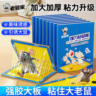 �S��ֱ�N�F؛�����N����ճ��岶������������ÊAץ����ճ��