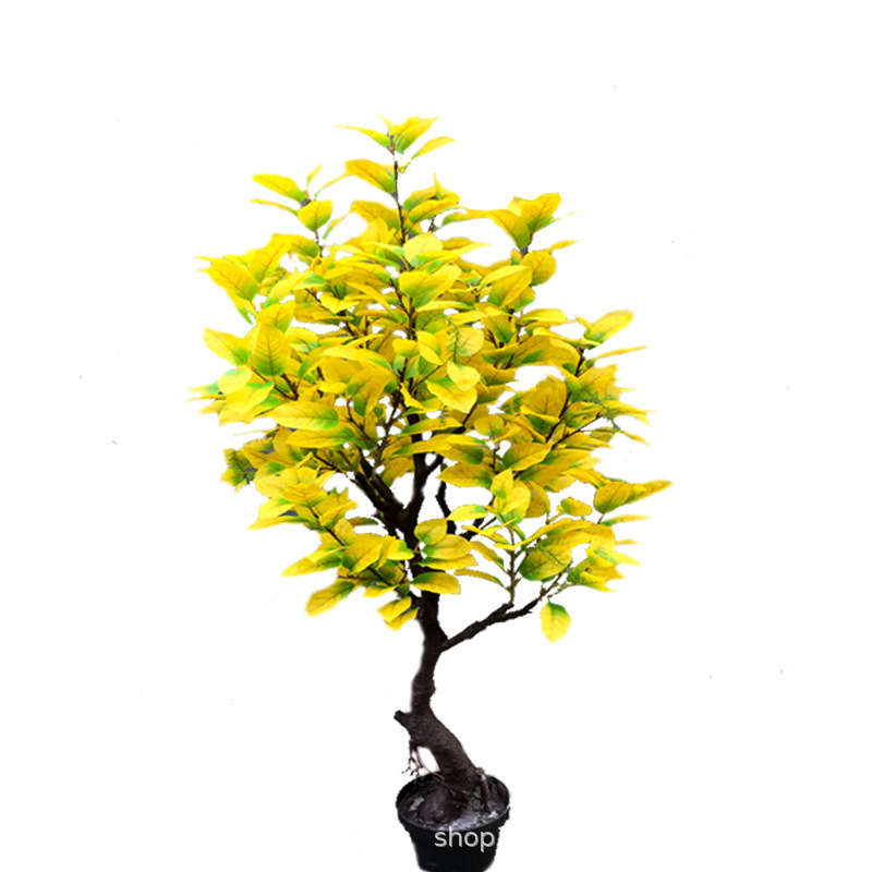 XRS-036 秋色梨树叶.jpg