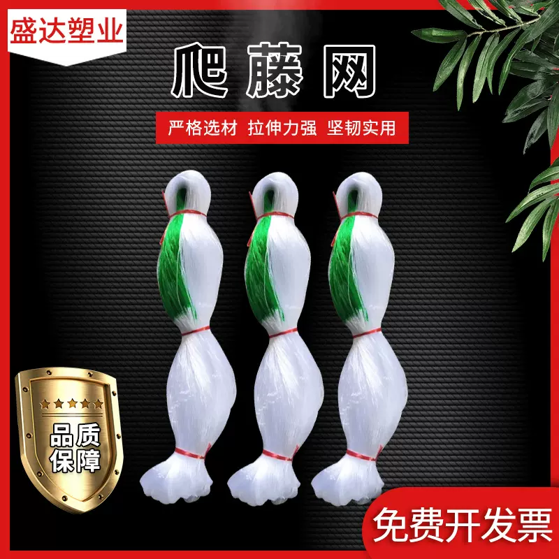 山东聚乙烯爬藤网PE植物爬藤网黄瓜豆角山药百香果吊瓜攀爬网农用
