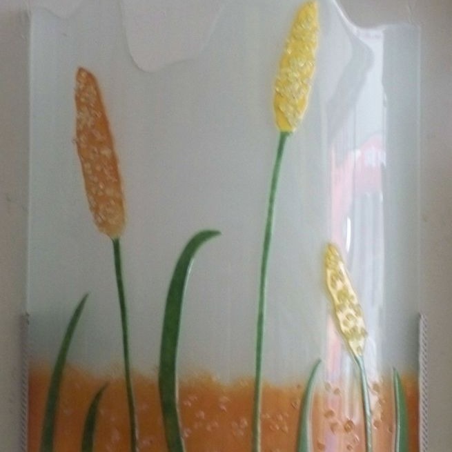 ���²�����͸�����ϣ����²������ϣ����ղ������ϣ���ͨɫ��476C