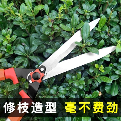 Gardening shears, branch pruning shears, hedge trimmers, lawn shears, pruning shears, flower and tree branch shears, heavy-duty branch shears, garden shears