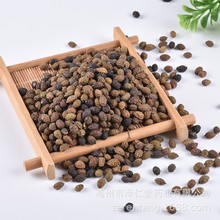 批发现货 诚信经营一件代发 鸦胆子 老鸦胆 苦参子 鸦蛋子 鸭胆子