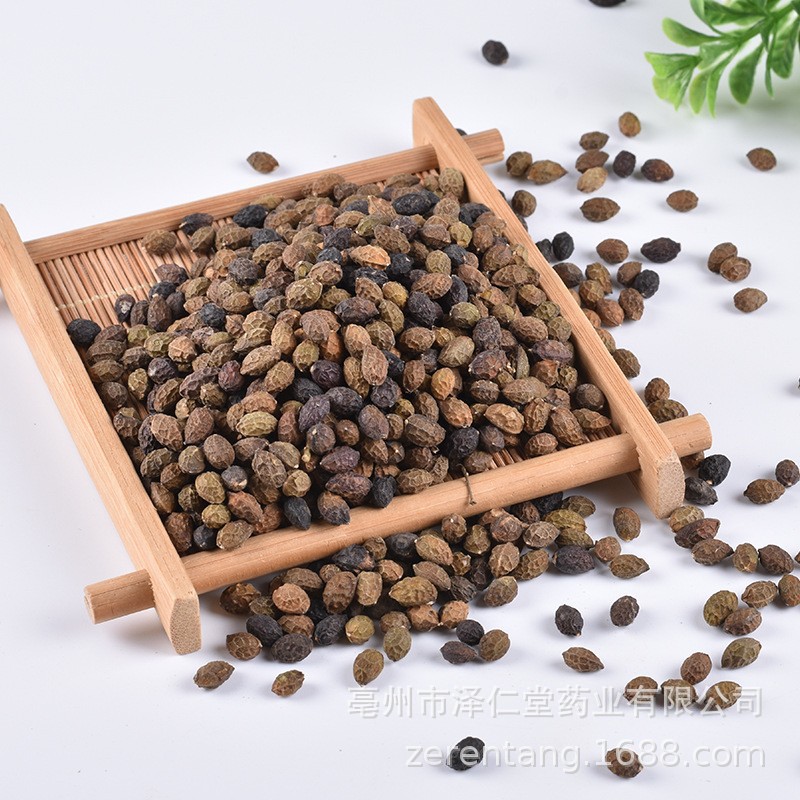 批发现货 诚信经营一件代发 鸦胆子 老鸦胆 苦参子 鸦蛋子 鸭胆子