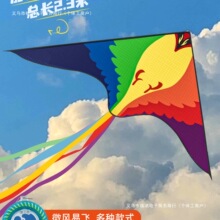 风筝大人儿童微风易飞潍坊成人大型2026新款卡通立体风筝