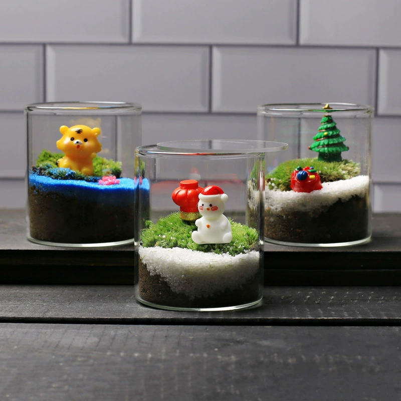 Веселый Творческий мох микро пейзаж экологическая бутылка детский сад обучение Рождественский подарок Прямая бутылка DIY материал сумка