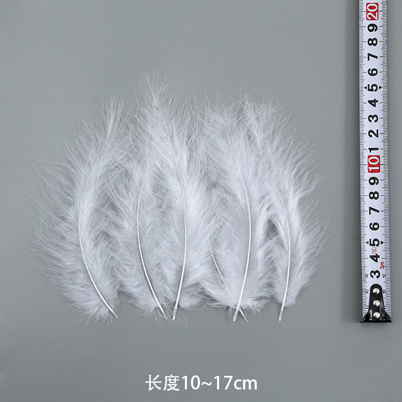 포인티드 테일 벨벳(50의 배수로 주문)