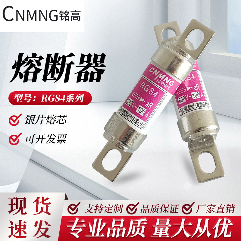RGS4 AC690V快速熔断器RS308-HB/660GH/EV88/RSG100A